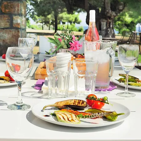 Villa Serenity Pool Retreat By Halkidiki